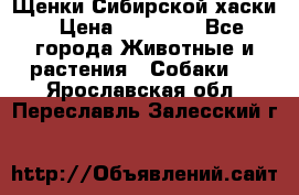 Щенки Сибирской хаски › Цена ­ 18 000 - Все города Животные и растения » Собаки   . Ярославская обл.,Переславль-Залесский г.